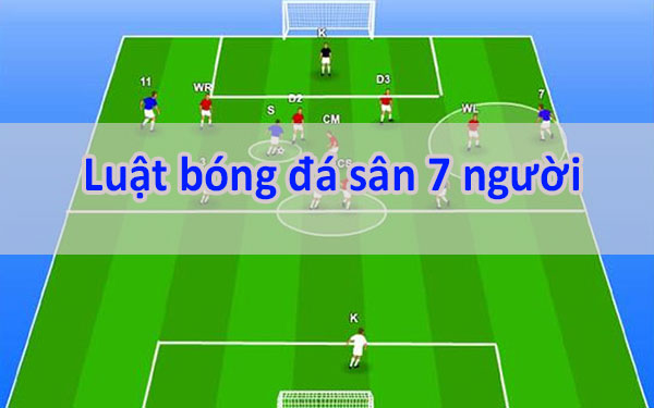 Bóng Đá 7 Người Là Gì? Tại Sao Lại "Hot" Đến Vậy?